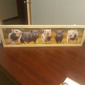 Hobby Lobby Piggy Print